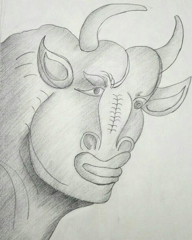 Pablo Picasso's Bull